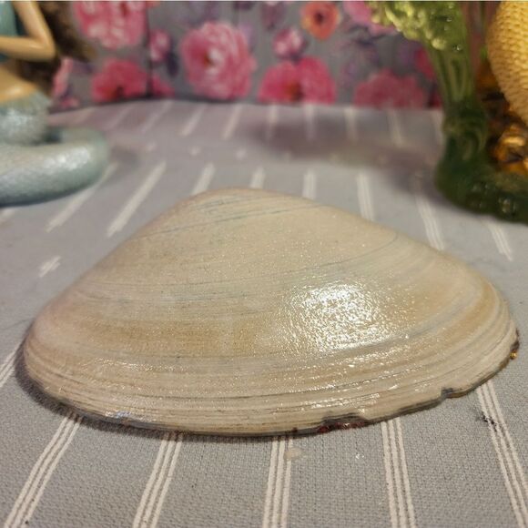 DECOUPAGE CLAM SHELL DECOUPAGE CHRISTMAS HOLLY ON A CLAM SHELL TRINKET DISH - Picture 10 of 10